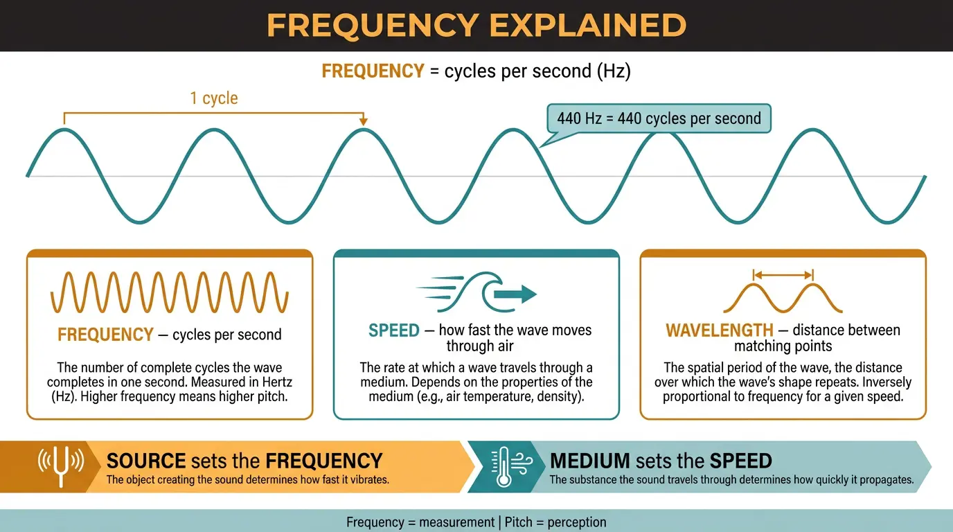 Infographic of a sine wave defining frequency in Hz, with cards for frequency, speed, and wavelength.