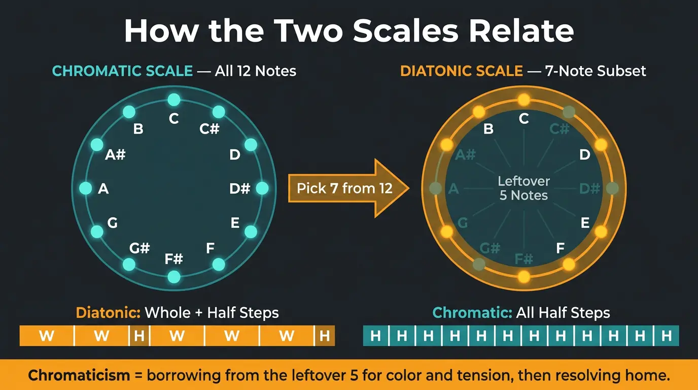 Infographic showing chromatic scale of 12 notes with a 7-note diatonic subset highlighted, plus whole/half step patterns.
