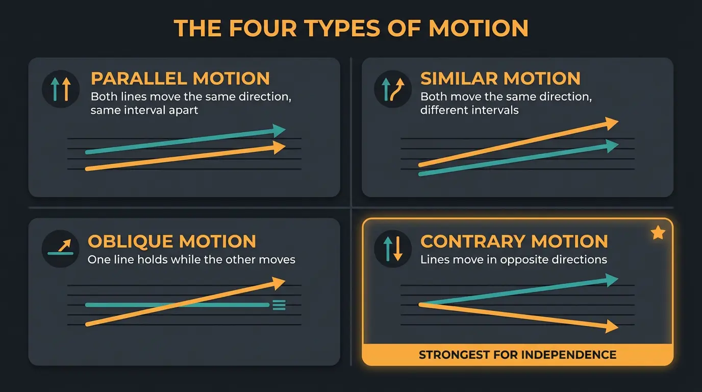 Infographic grid of four counterpoint motion types with contrary motion highlighted as strongest.