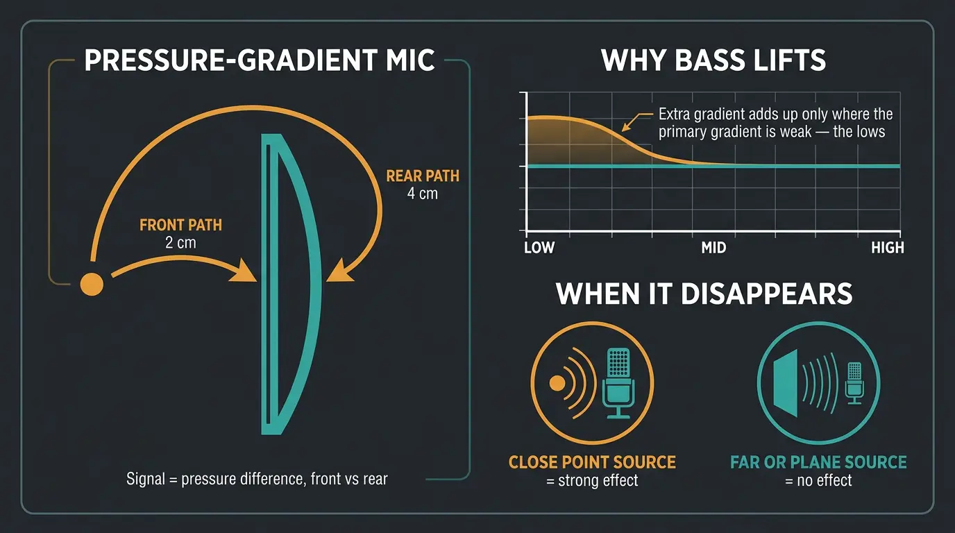 Infographic showing shorter front and longer rear sound paths to a mic diaphragm and a bass-boosted frequency curve.