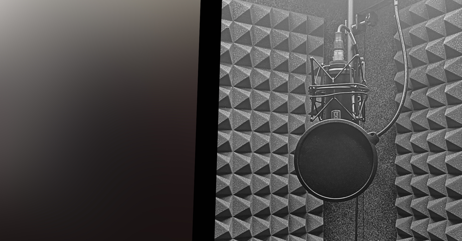 Slate Digital VMS ML-1 microphone in a vocal booth.