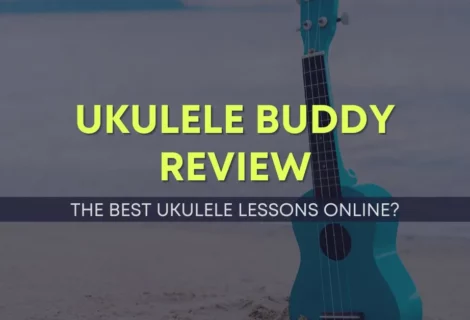 Ukulele Buddy Review Blog Cover Image