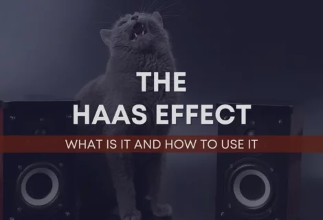 The Haas Effect Blog Cover Image