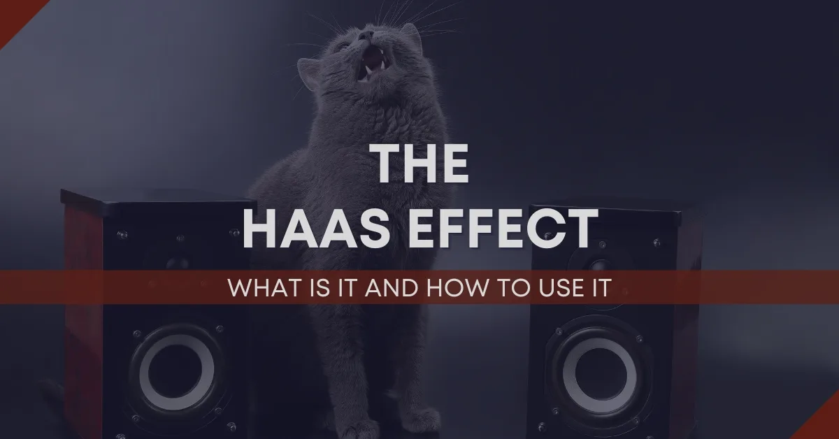 The Haas Effect Blog Cover Image