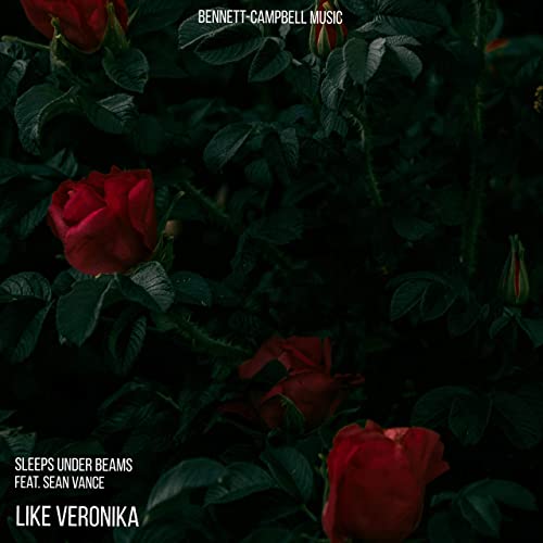 Album cover for the song Like Veronika by Sleep Under Beams.