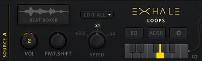 Loops Mode in Output Exhale.