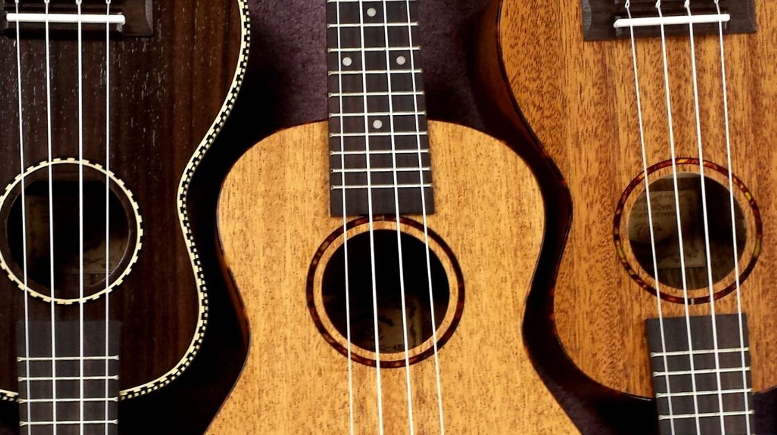 best ukulele strings.